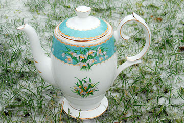 Teapot snowdrop